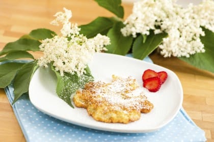 Frittelle di fiori di sambuco: la ricetta per portare in tavola la tradizione delle nonne