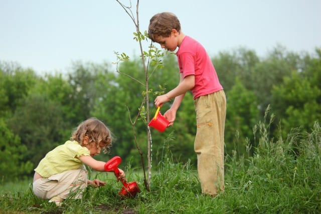 Растенијата за планетата, Здружението на децата садат дрвца