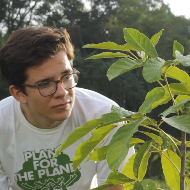 Felix Finkbeiner, il “bambino degli alberi”. A 23 anni ne ha piantato 15 milioni in tutto il mondo