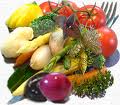 Vegetariani famosi: da Leonardo da Vinci a Tolstoj