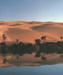 Sahara, 80 oasi rinascono grazie a un’antica tecnica