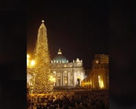 L’albero di Natale del Vaticano più bello e più buono. Verrà riciclato.