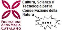 Banner Fondazione Catalano