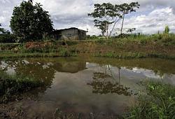 Chevron pagherà 8.6 miliardi danni ambientali in Amazzonia