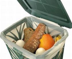 FAO: “Ogni anno un terzo del cibo prodotto va sprecato”