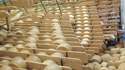 Non sprechiamo Parmigiano: come recuperarlo post terremoto