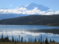 L’inquinamento sonoro arriva fino in Alaska