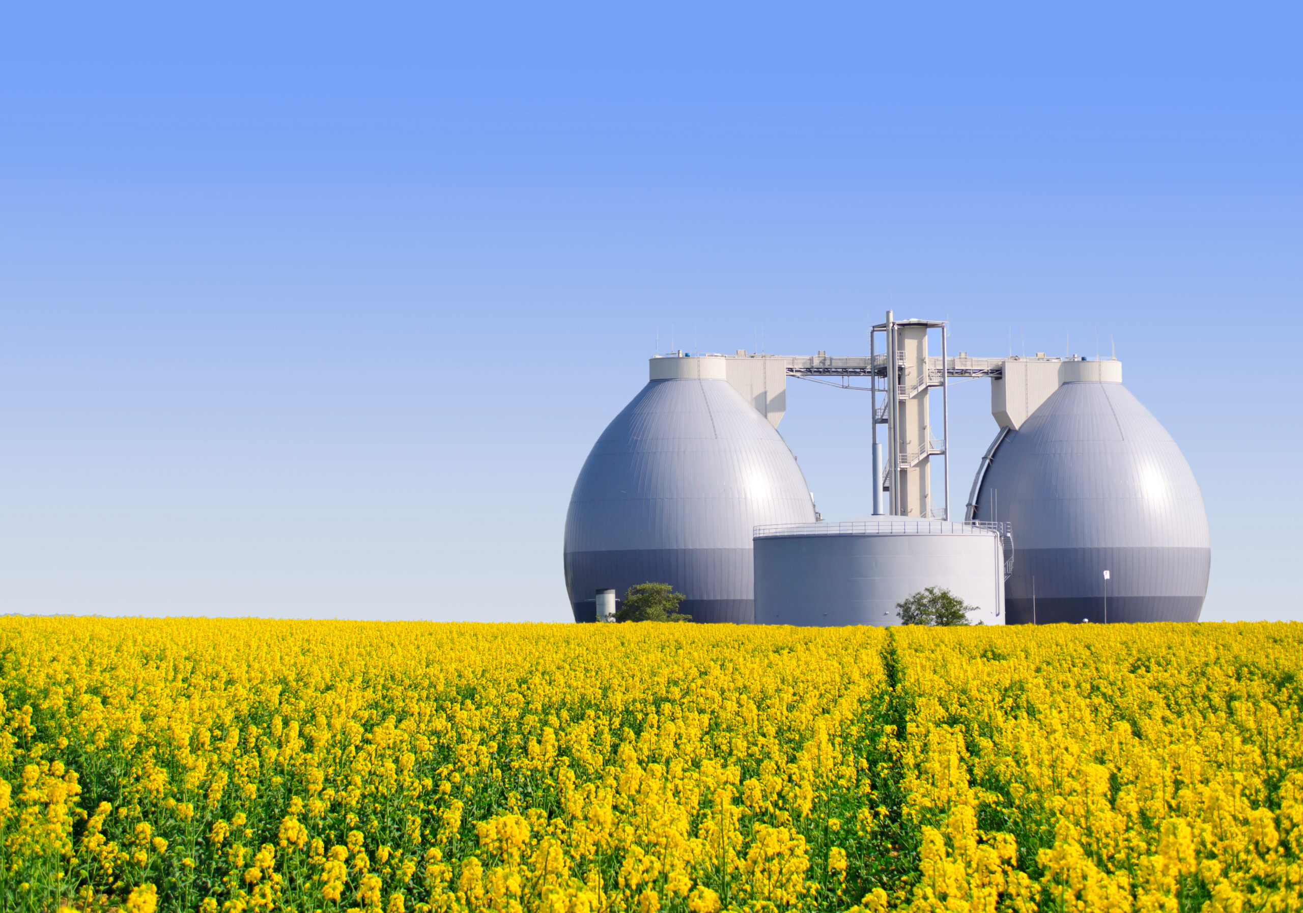 Biogas: cosa è, vantaggi e svantaggi