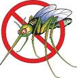 Lotta biologica contro gli insetti