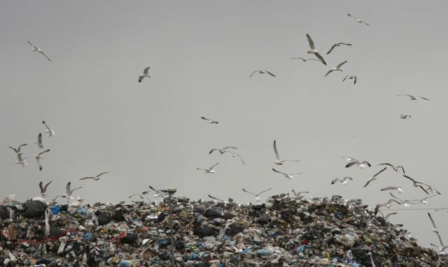 In Italia si recupera solo il 33 per cento dei rifiuti. Peggio di noi solo Portogallo e Grecia