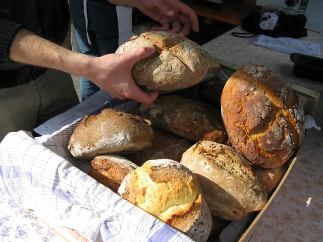 A Bologna prepari il pane con la pasta madre direttamente al mercato