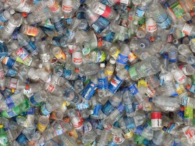 Bottiglie di plastica in cambio di buoni spesa: l’esperimento in Veneto funziona