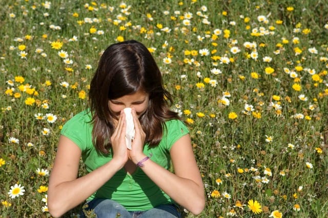Allergia da pollini: cibi e rimedi per fermarla