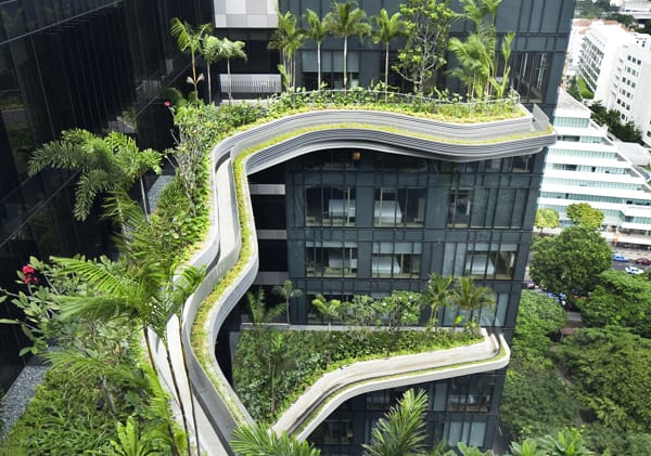 Singapore: la città dei giardini pensili