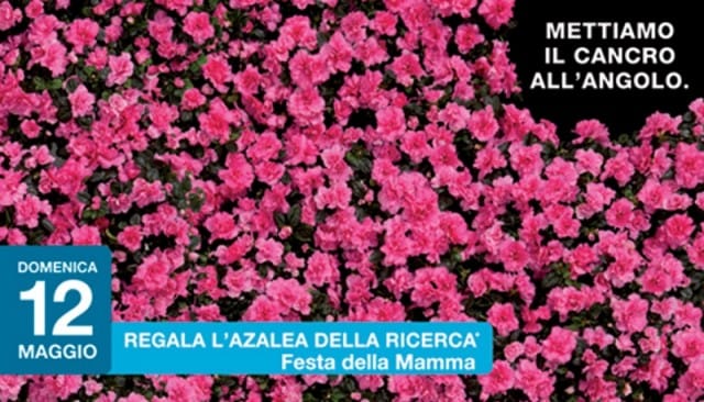 Festa della Mamma: il 12 maggio regala un’Alzalea della Ricerca