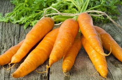 Ricette con gli scarti delle verdure: il patè con i ciuffi delle carote e dei finocchi