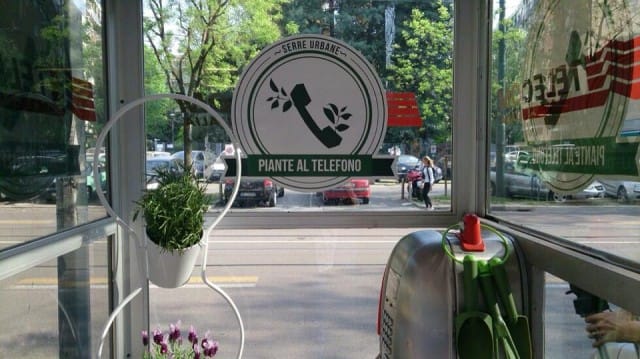 “Piante al telefono”: il progetto per non sprecare le vecchie cabine telefoniche