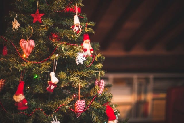 Dal 4 al 12 gennaio riconsegna l’albero di Natale da Ikea e aiuti il WWF
