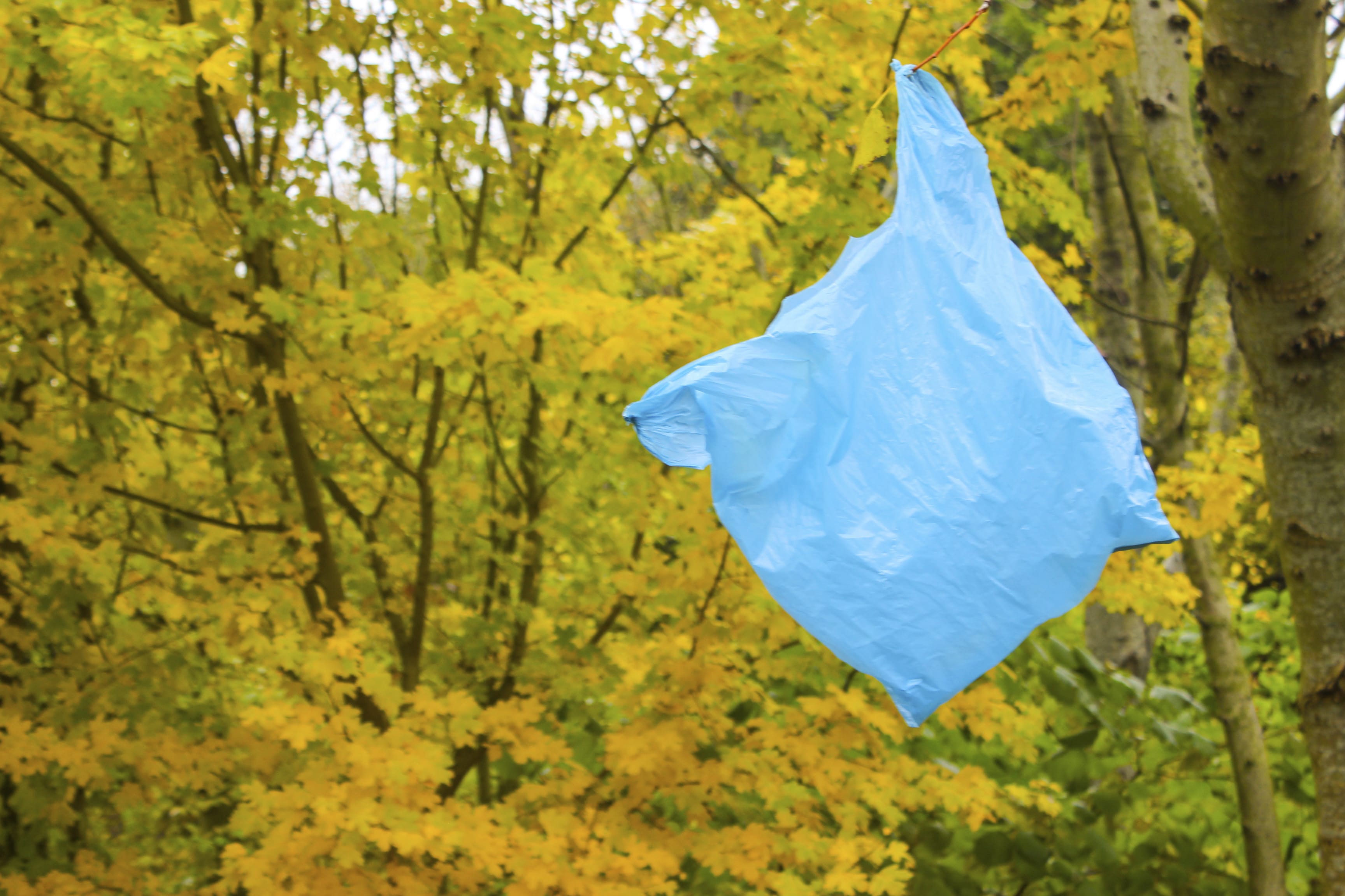 Inquinamento sacchetti di plastica - Non sprecare
