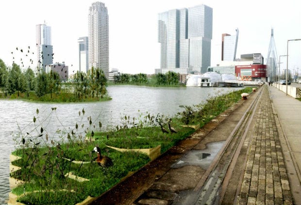 A Rotterdam il primo parco galleggiante che ricicla i rifiuti di plastica