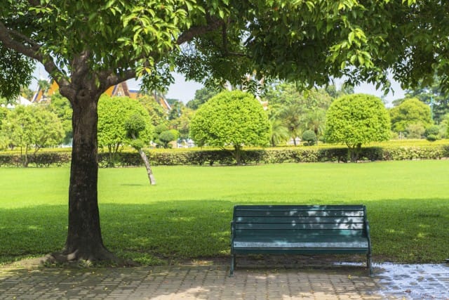 Adotta un’area verde: così i cittadini curano parchi e orti nel loro territorio
