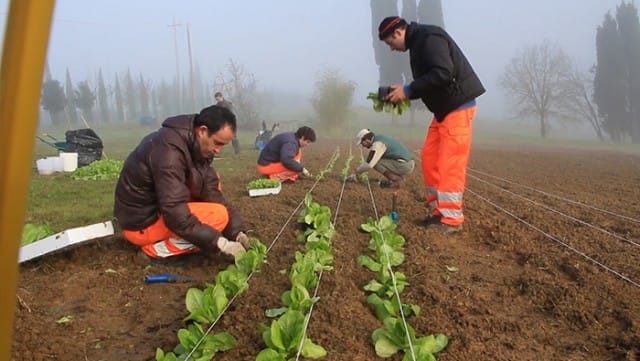 “Un orto in centrale”, il progetto di Snam per l’agricoltura a km zero in Toscana
