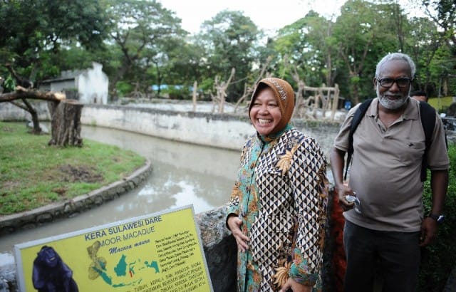 Il miglior sindaco del mondo? Una donna indonesiana che ha reso verde il 20 per cento della città