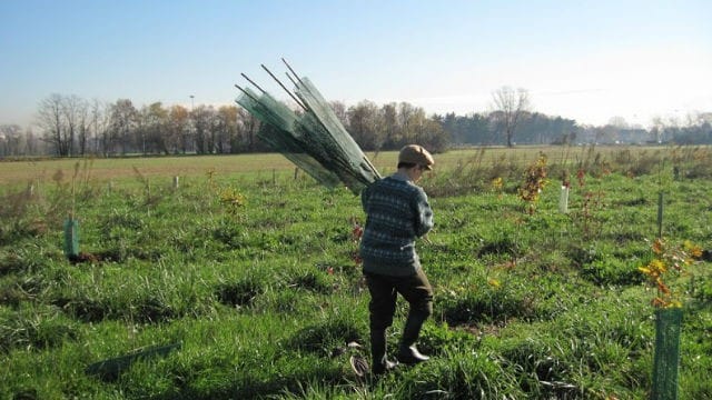 Giardiniere condotto: a Milano insegna ai cittadini a prendersi cura del verde urbano