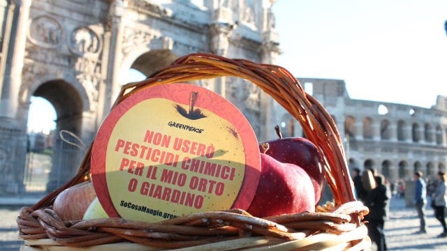 Troppi pesticidi nelle mele, la denuncia di Greenpeace per sensibilizzare i consumatori