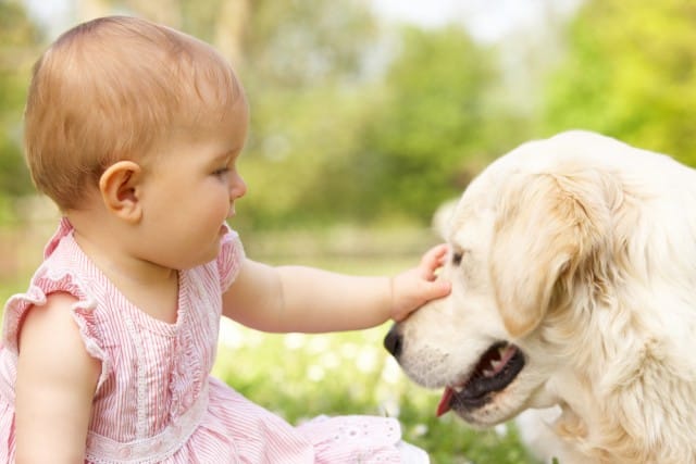 Cani in casa: con loro diminuiscono rischi di asma e allergie dei bambini