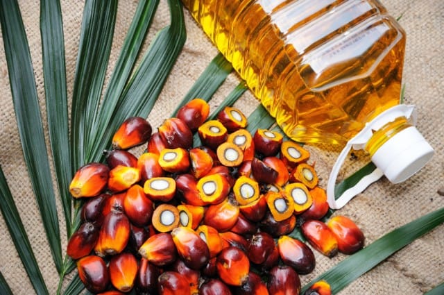 come sostituire olio di palma, lievito oleoso, alternativa olio di palma