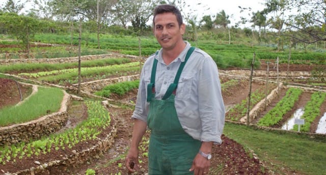 Il verde Fernando Monzote, l’ultimo rivoluzionario di Cuba