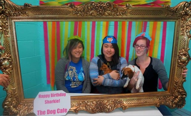 Dog Cafè, il bar di Los Angeles dove puoi adottare un cane randagio (Foto)