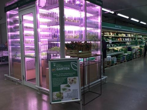A Berlino l’orto sbarca nei supermercati. Insalata e verdura fresca per i clienti