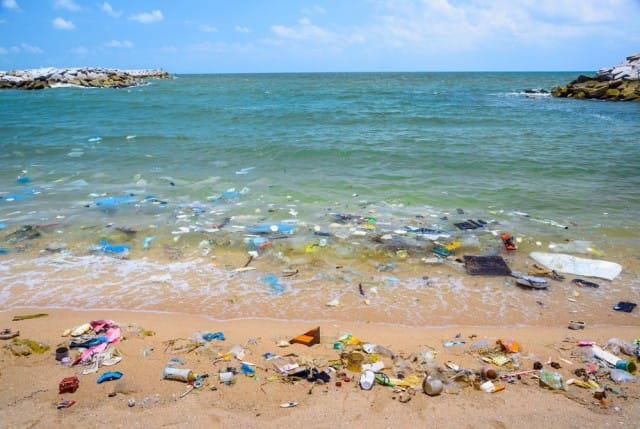 Inquinamento marino: che fare per evitarlo