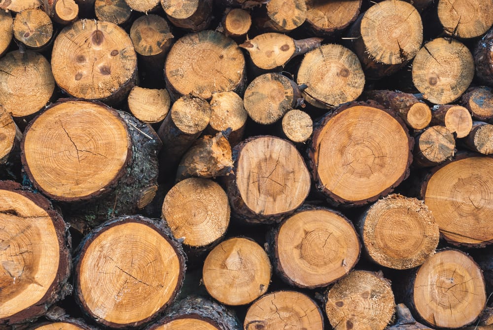 Come sistemare la legna per il camino - Non sprecare