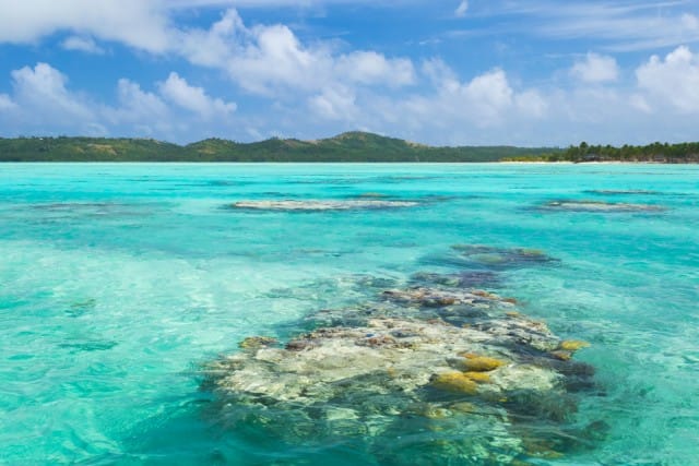 Parchi marini più belli del mondo - Isole Cook