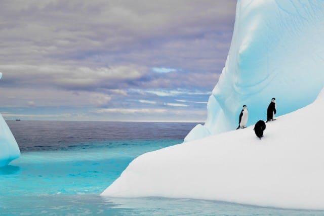 Parchi marini più belli del mondo - Antartide
