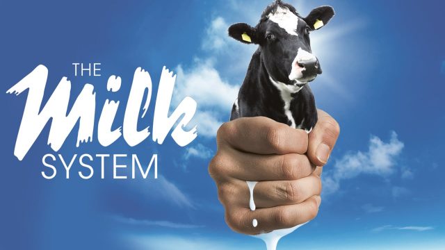Come si produce il latte? Massacrando le mucche, facendole vivere 5 anni invece di 25. E imbottendole di soia per gonfiarle (video e foto)