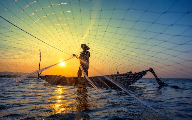 Pesca sostenibile: tecniche da usare e quelle da evitare