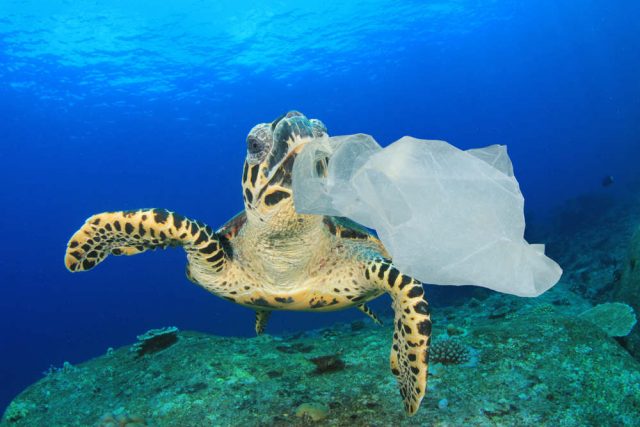 rifiuti di plastica negli oceani