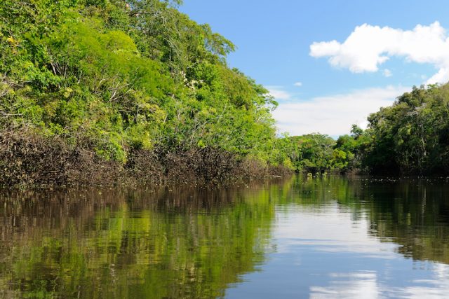 Amazzonia, la Colombia firma una dichiarazione per la protezione della regione