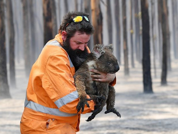 Incendi in Australia, già morti 480 milioni di animali. Il 70 per cento dei piromani hanno l’età di Greta