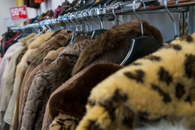 Il boom delle pellicce ecologiche, trendy e molto amate. Ma quanto inquinano?
