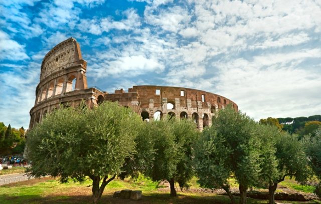 Miele, olio e vino al Colosseo. Il progetto sostenibile del «Parco Green»