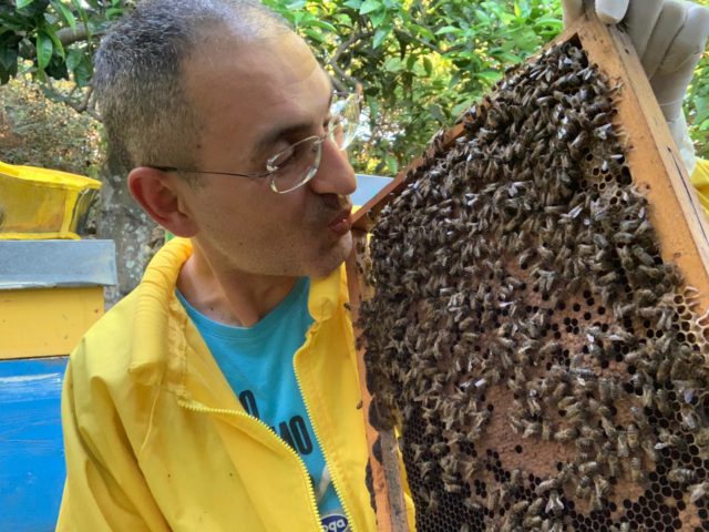 Andrea cura la sclerosi multipla con il veleno d’api. Rimedio efficace per tremori e crampi