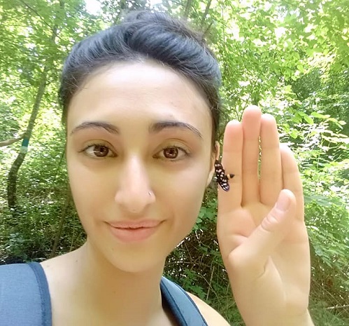 Come salvare le farfalle: il censimento mondiale guidato da una giovane donna