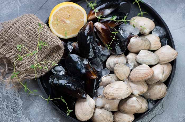 Molluschi bivalvi: proprietà e usi in cucina