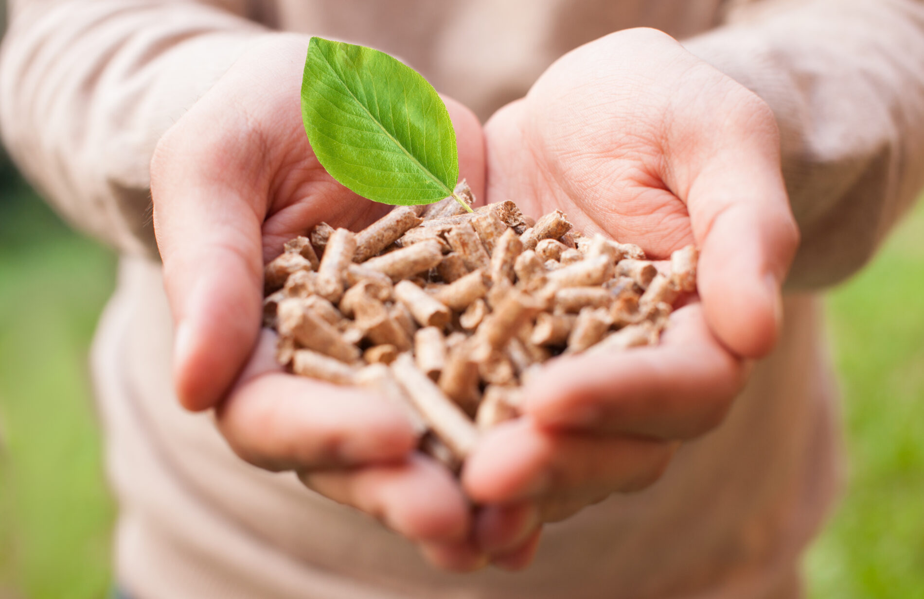 biomasse cosa sono pellet legna energia rinnovabile pulita
