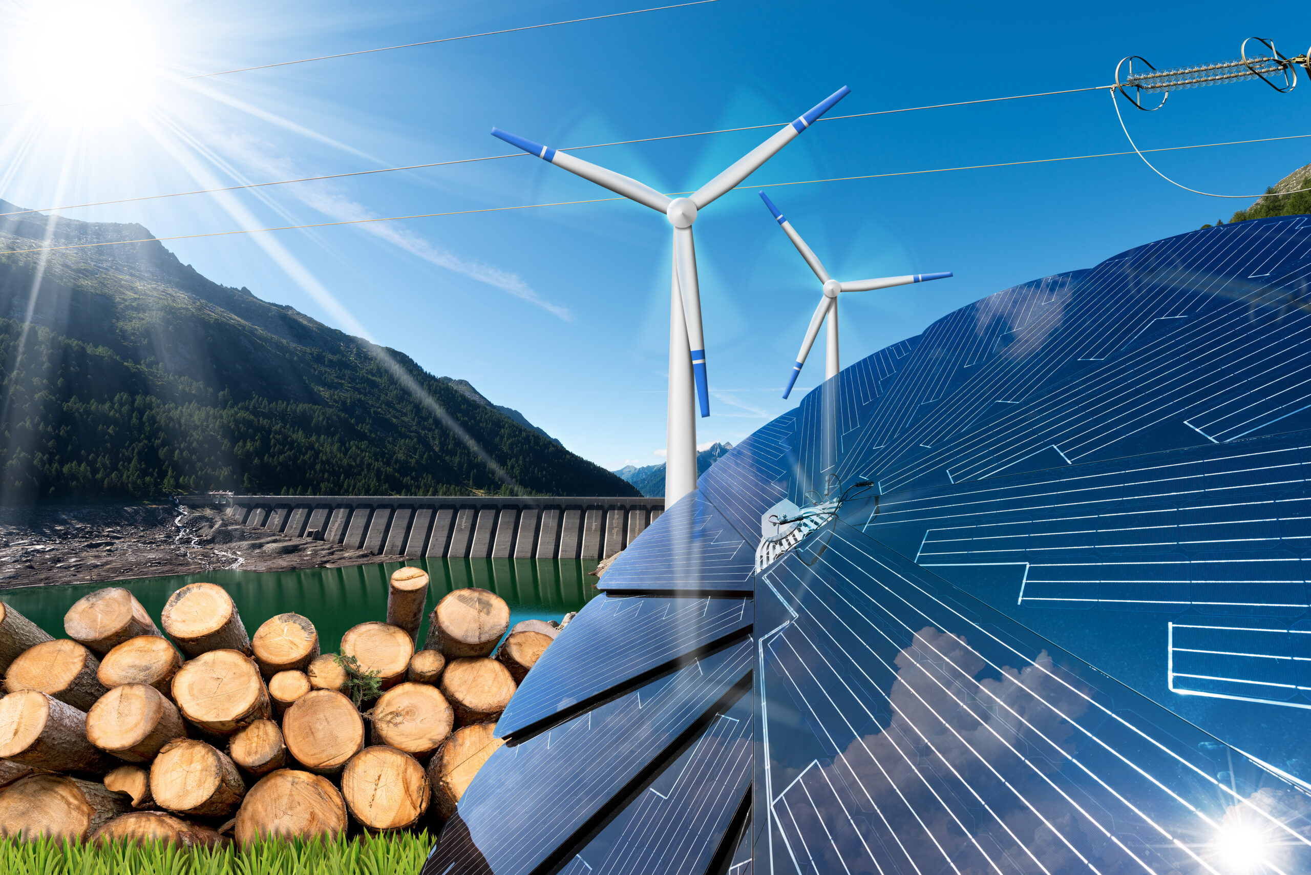 biomasse biomassa energia rinnovabile pulita ecosostenibile